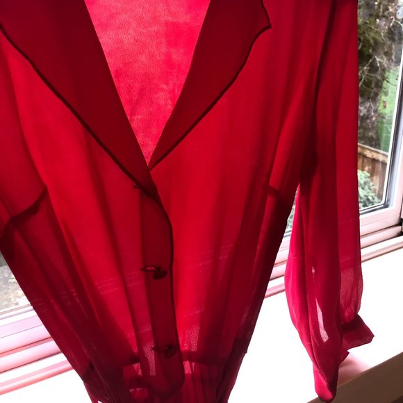 Leona Edmiston Sheer Raspberry Red Frock - Picture 8 of 11